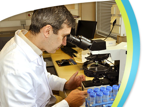 Pr�vention : le laboratoire de toxicologie industrielle � la pr�vention des risques professionnels.