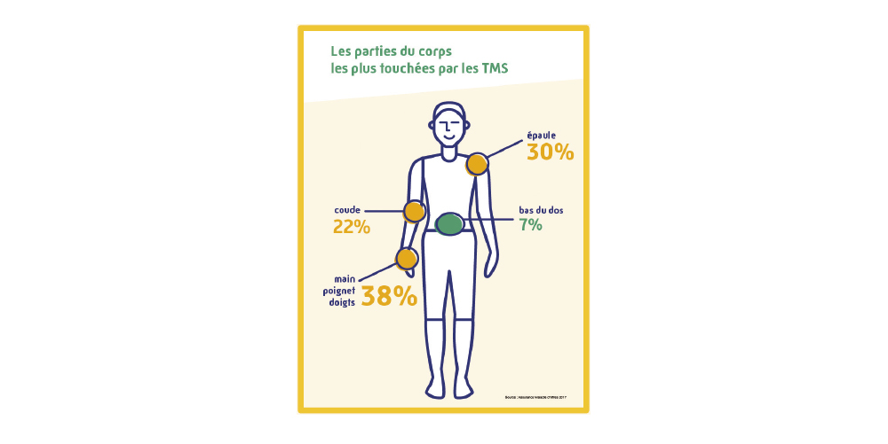 Parties du corps concernées par les TMS