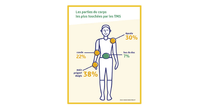 Infographie des parties du corps les plus touchés par les TMS 